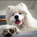 Bryn King - @humbertoramos1878 - Instagram