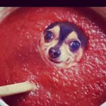 Bryn Lucas - @bryn.lucas.779 - Instagram