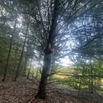 Bryn Marsh - Facebook