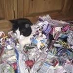 Bryn Marshall - @sirbrynalot - Instagram