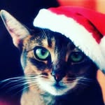 bryn - @bryn_merrill - Instagram