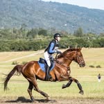 Bryn Morris - @bryn_eventing - Instagram