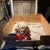 Bryn Phillips - Facebook