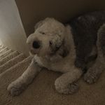 Bryn Phillips - @brynners_1212 - Instagram