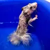 Idk - @brynn.powell123 - TikTok