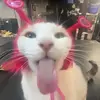 Me - @brynn.rice5 - TikTok