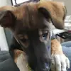 brynriley586 - @brynriley586 - TikTok