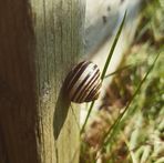 Bryn Robinson, nature and wildlife photography. - Facebook