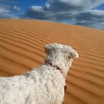Bryn Shaw - @bryn.shaw.5 - Instagram