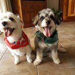 Bryn Shaw - Facebook