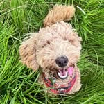 Bryn Simpson - @bryn_good_boy - Instagram