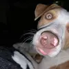 Coolestcookie64 - @brynsnyder - TikTok