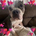 Brynn Sullivan - Facebook