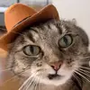 Brynn - @brynnsutton_ - TikTok