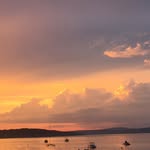 Bryn Taylor - @bryn_taylor456 - Instagram