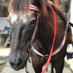 Bryn taylor - @remington1122 - Instagram