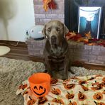 Brynn Wagner - Facebook