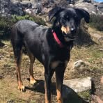 Bryn Walker - Facebook