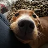 brynleewatts - @brynleewatts - TikTok