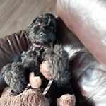 Bryn West - @westbryn5 - Instagram