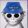 Bryn Williams - @.bryn_williams - TikTok