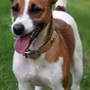 Bryn Williamson - @bryn.williamson4 - TikTok