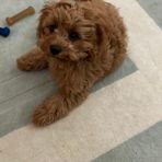 Bryn Williamson - Facebook