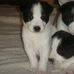 Bryna Comsky - Facebook
