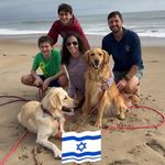 Bryna Wasserman Toth - @brynatoth - Instagram