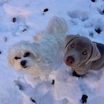 Bodhi Brynn & Beck Gray - @brynn.beck.b - Instagram