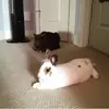 Brynn - @brynn.bennett_7 - TikTok