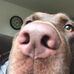 Brynn Schneider - Facebook