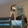 Bryon Hall - @bryon.hall - TikTok