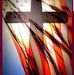 Bryon Meyer - Facebook