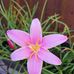 Diane Bryon Meyer - Facebook