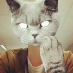 Bryon Siler - @bryonsiler - Instagram
