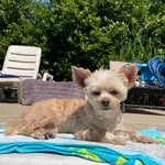 Bryon Thomas - @bryon.thomas.581 - Instagram