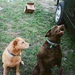 Bryon Werking - @bryonwerking - Instagram