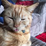 Bryony Chilton-Clark - @bryony_chilton_clark - Instagram