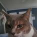 Bryson Alexander - Facebook