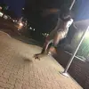 Bryson Alexander - @brysonalexander8 - TikTok