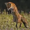 Bryson Alexander - @bryson.alexander32 - TikTok
