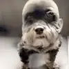 Hello - @brysonalexanderr - TikTok