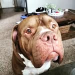 Bryson Henderson - @hi_my_name_is_augg - Instagram