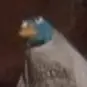 Bryson Henderson - @user10821539 - TikTok