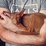 Bryson Hull - @bry_meowther - Instagram