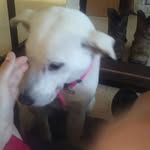 hudson - @bubbahudson - Instagram