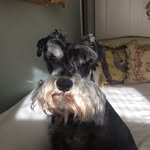 Bubba Hughes - @_bubba_hughes_ - Instagram