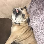 Buddy Hughes - @buddybubbahughes - Instagram
