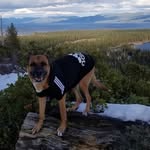 Bubba Jackson - @bubbagubera - Instagram